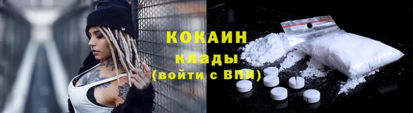 бошки Богданович