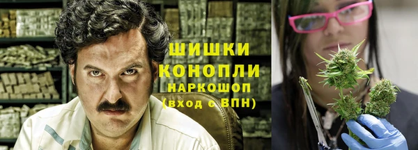 бошки Богданович