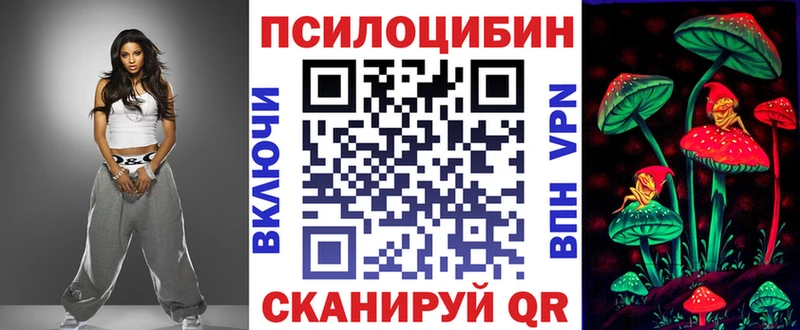 где найти   Дубна  Галлюциногенные грибы Cubensis 